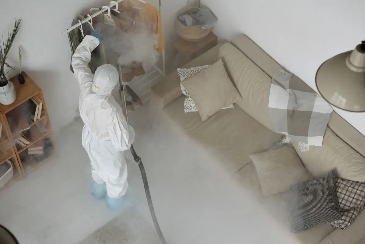 Odor Removal Services inspection and diagnostic work